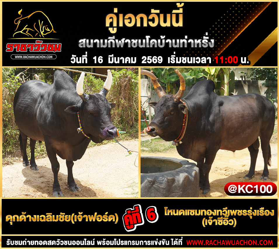 โปรแกรมวัวชนวันนี้ 16-3-2569