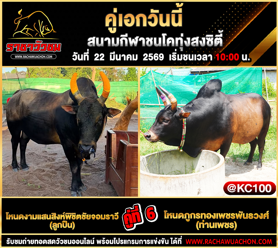 โปรแกรมวัวชนวันนี้ 22-3-2569
