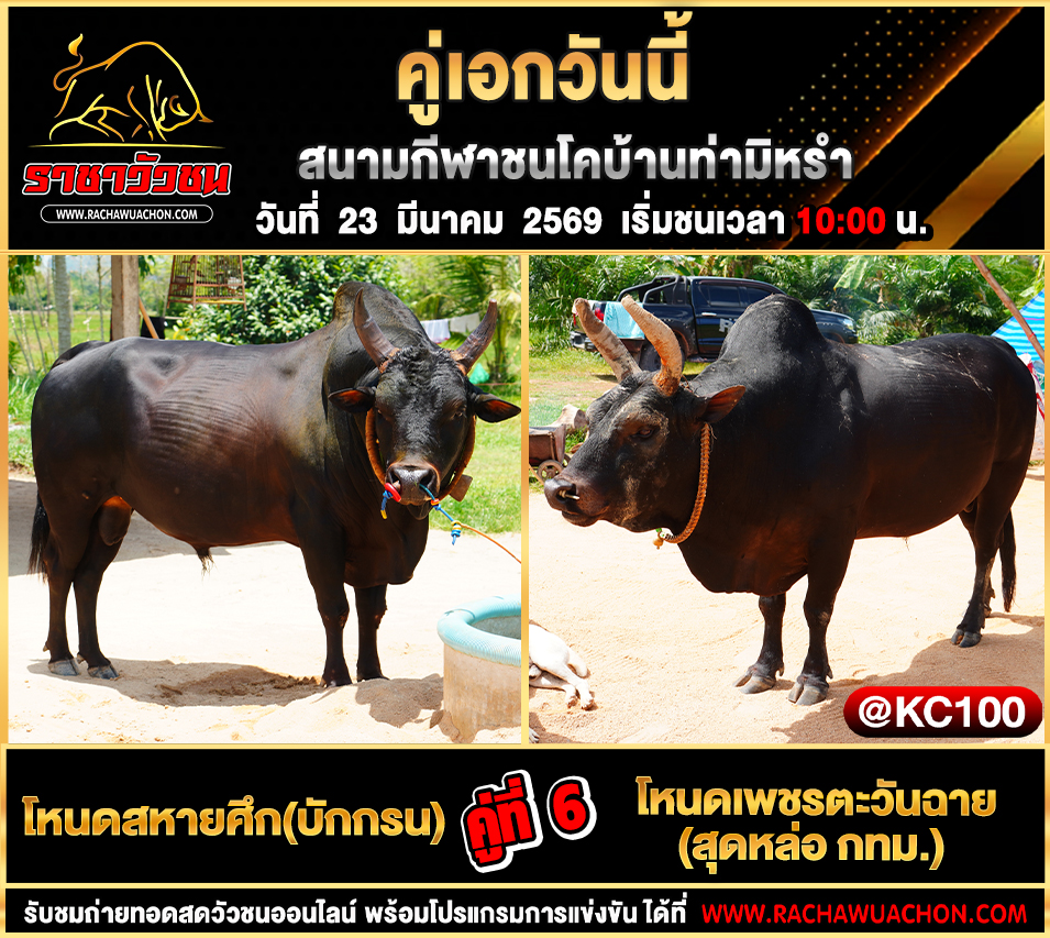 โปรแกรมวัวชนวันนี้ 23-3-2569
