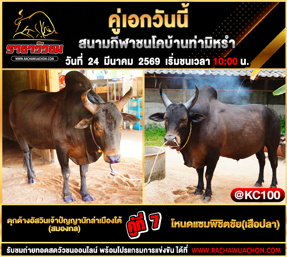 โปรแกรมวัวชนวันนี้ 24-3-2569