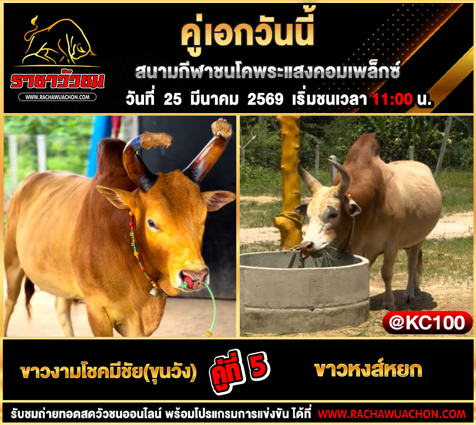 โปรแกรมวัวชนวันนี้ 25-3-2569