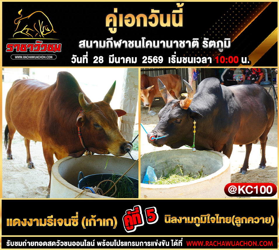 โปรแกรมวัวชนวันนี้ 28-3-2569