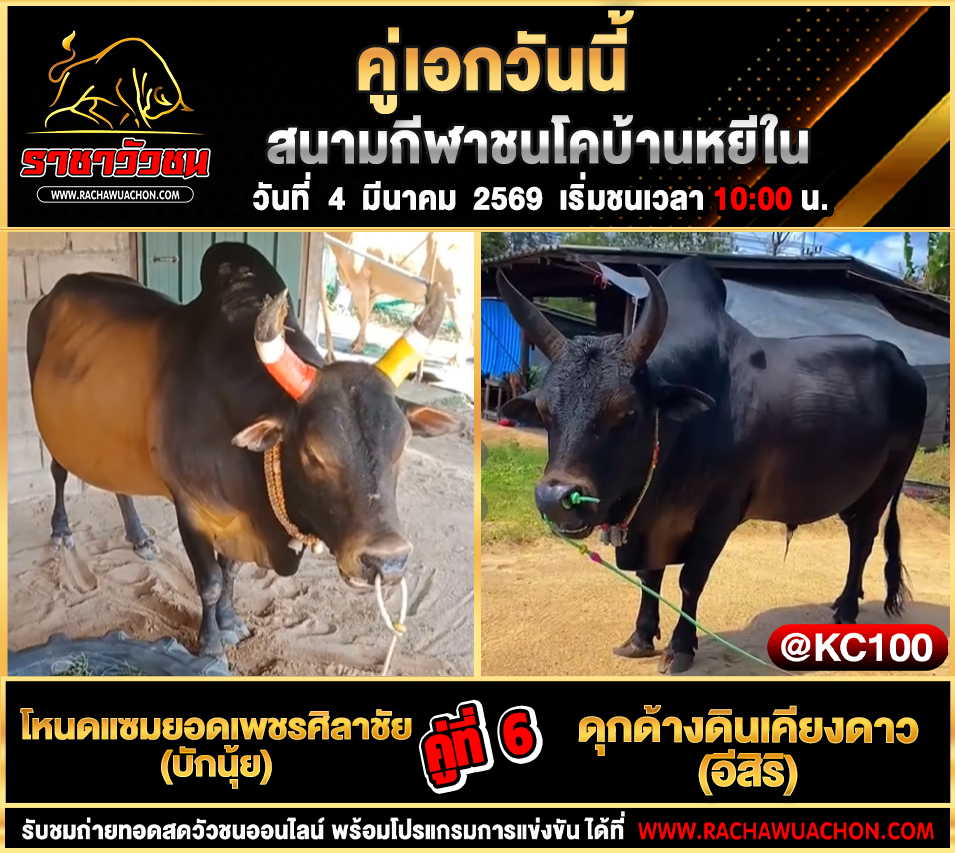 โปรแกรมวัวชนพรุ่งนี้ 4-3-2569