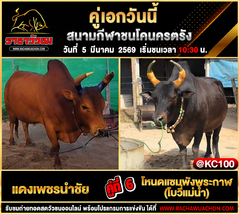 โปรแกรมวัวชนพรุ่งนี้ 5-3-2569