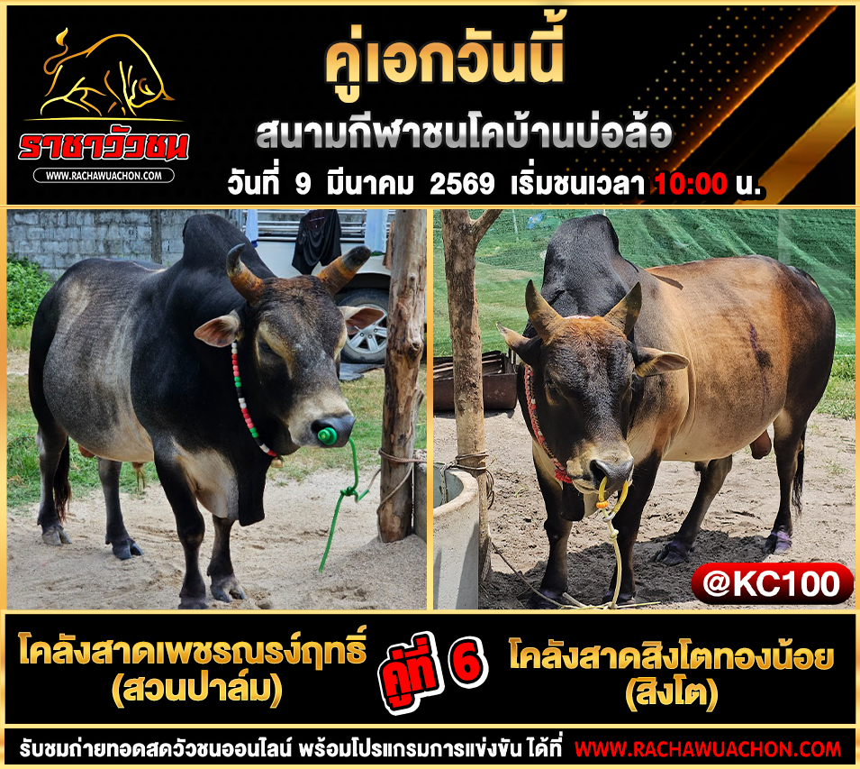 โปรแกรมวัวชนพรุ่งนี้ 9-3-2569