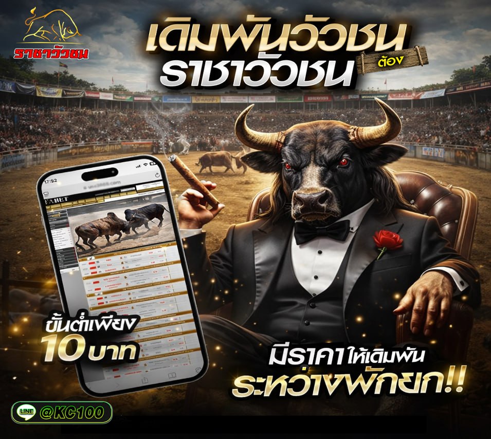 วัวชนวันนี้ 3-4-2569