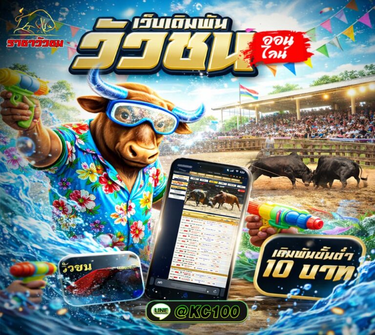 วัวชนวันนี้ 11-4-2569