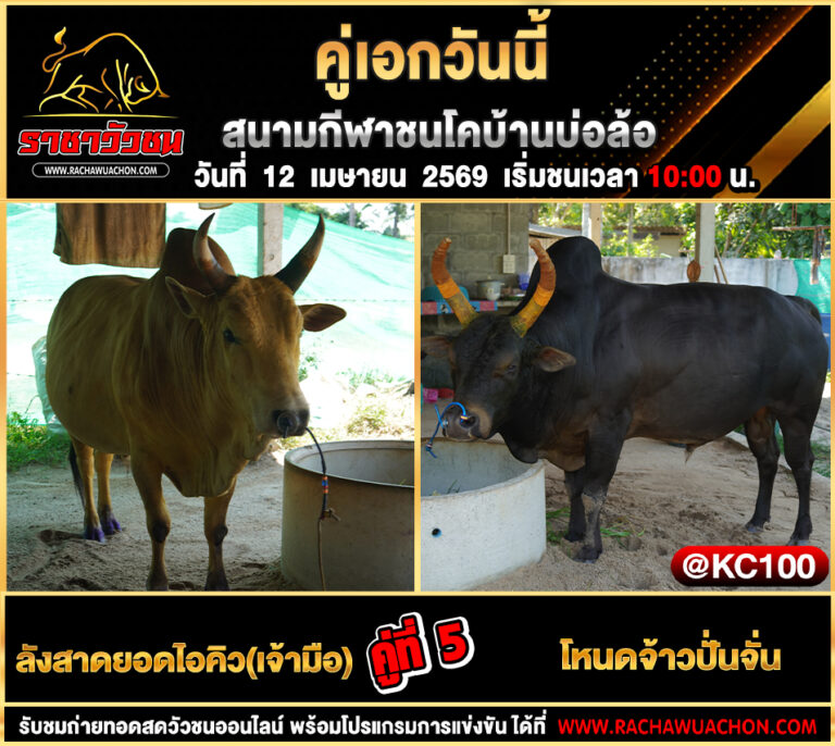 โปรแกรมวัวชนวันนี้ 12-4-2569