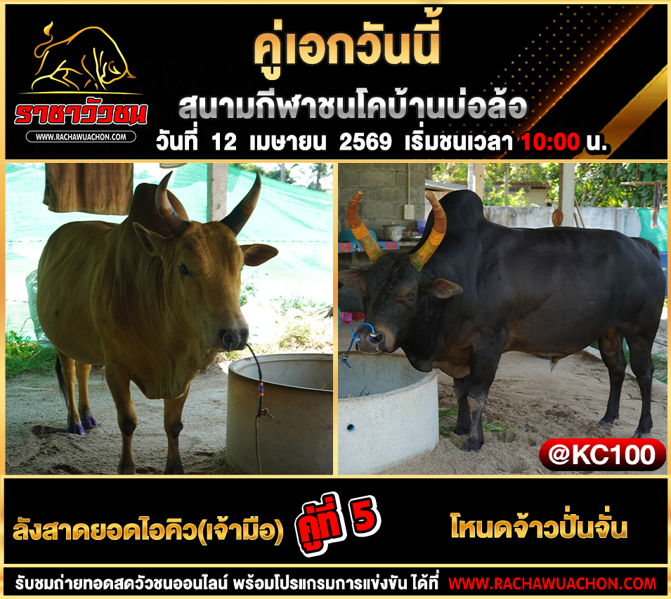 โปรแกรมวัวชนวันนี้ 12-4-2569