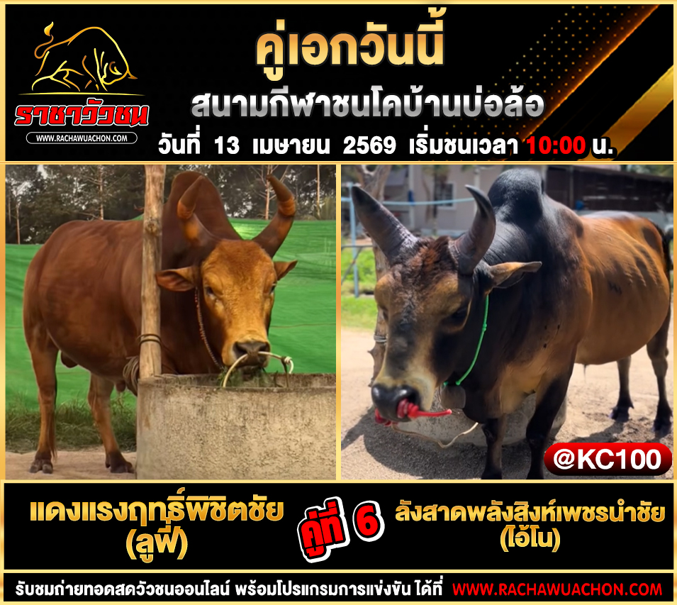 โปรแกรมวัวชนวันนี้ 13-4-2569