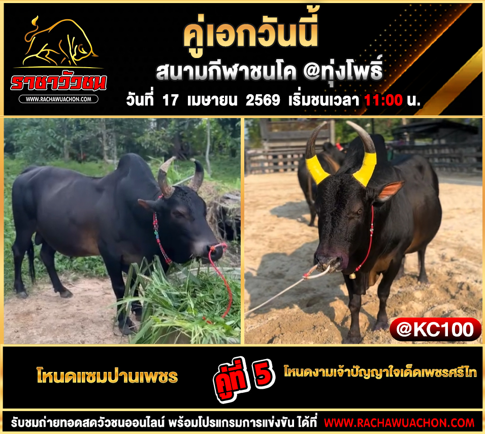 โปรแกรมวัวชนวันนี้ 17-4-2569