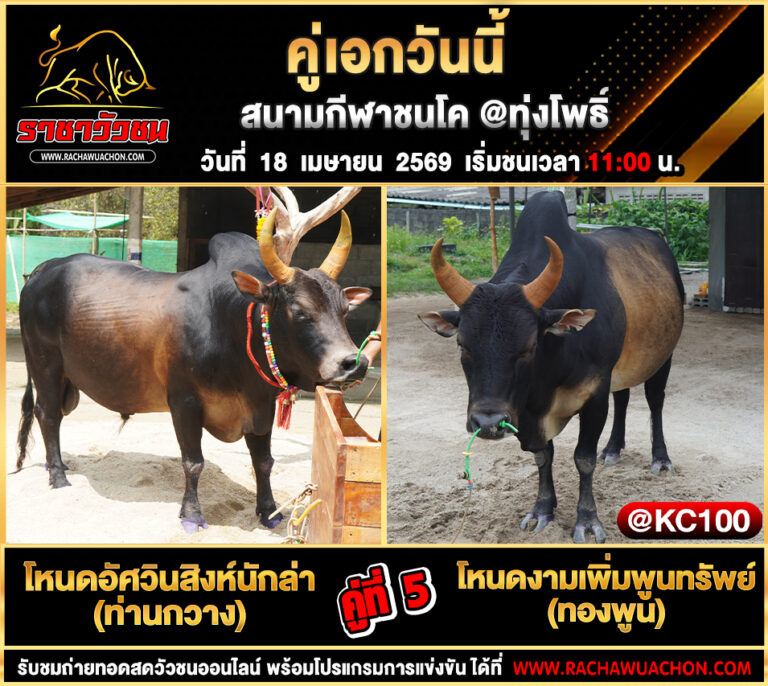 โปรแกรมวัวชนวันนี้ 18-4-2569