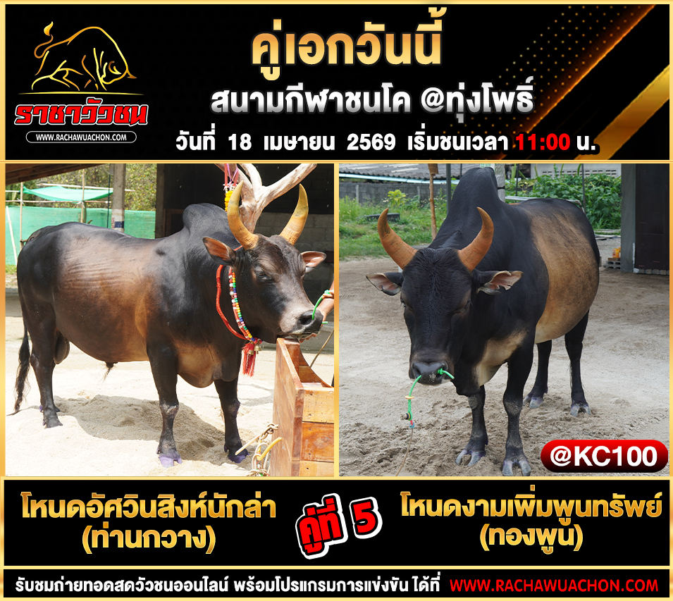 โปรแกรมวัวชนวันนี้ 18-4-2569