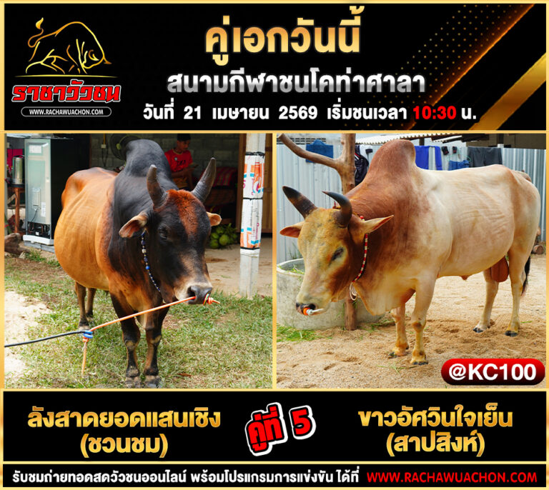 โปรแกรมวัวชนวันนี้ 21-4-2569