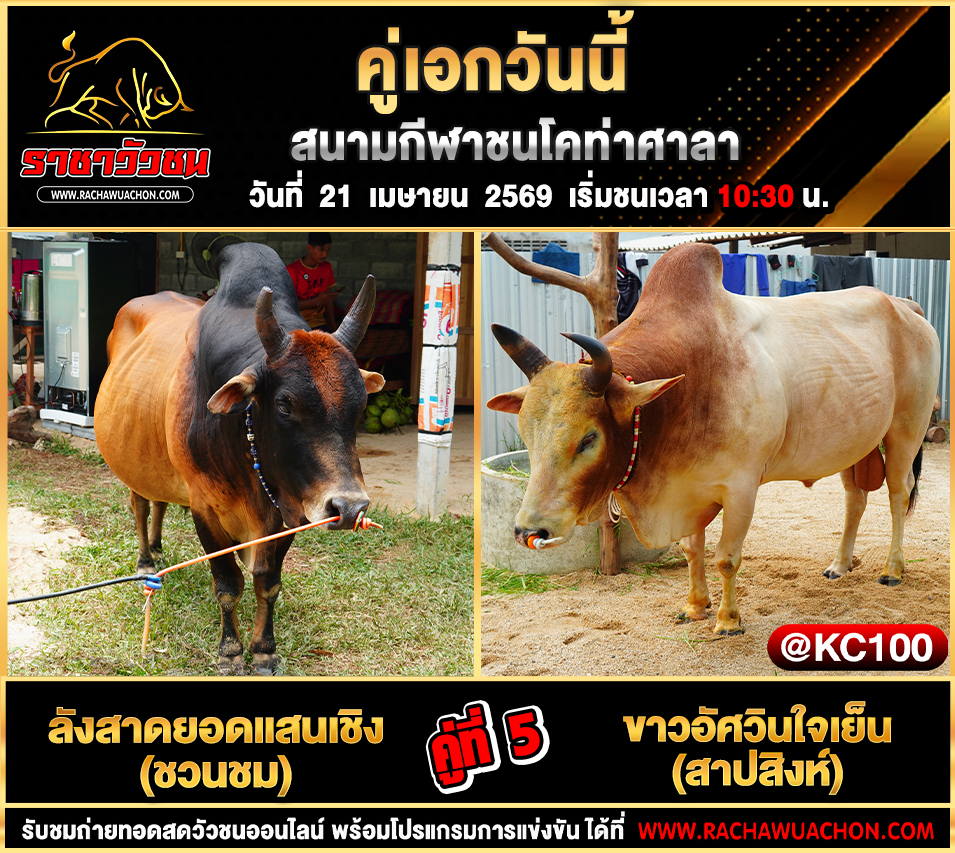 โปรแกรมวัวชนวันนี้ 21-4-2569