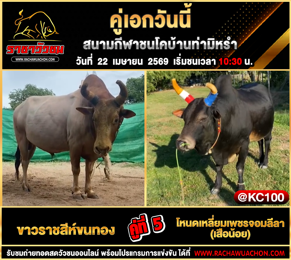 โปรแกรมวัวชนวันนี้ 22-4-2569