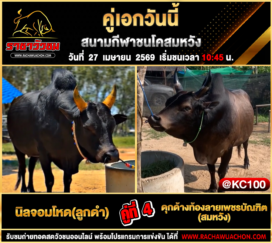 โปรแกรมวัวชนวันนี้ 27-4-2569