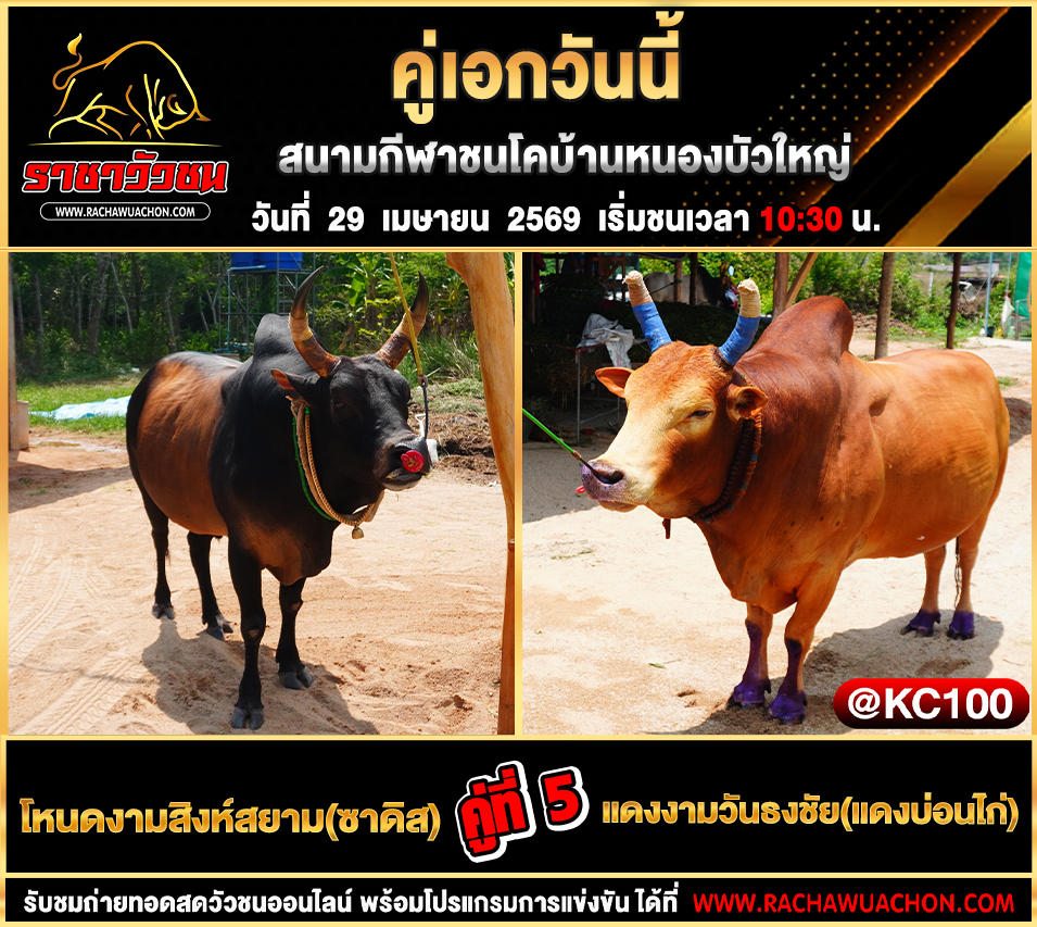 โปรแกรมวัวชนวันนี้ 29-4-2569