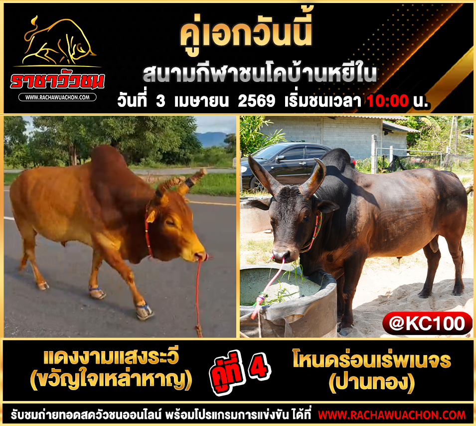 โปรแกรมวัวชนวันนี้ 3-4-2569