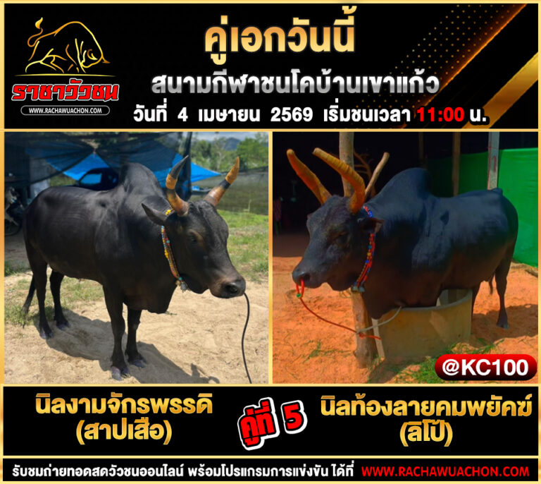 โปรแกรมวัวชนวันนี้ 4-4-2569