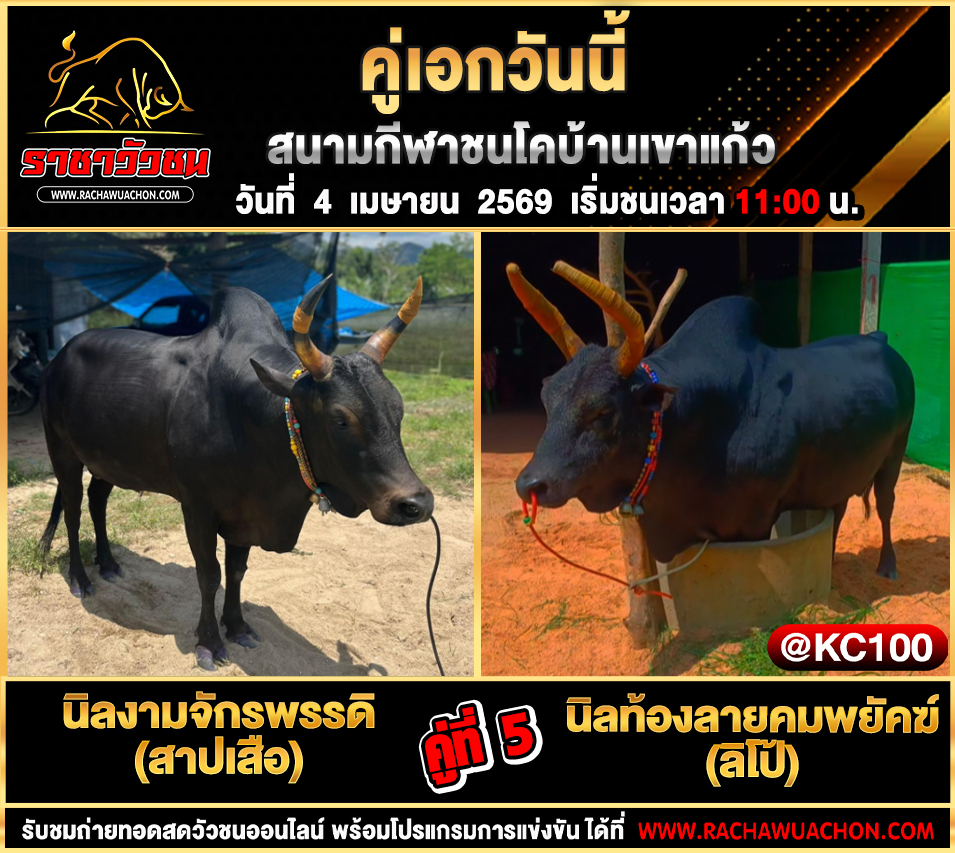 โปรแกรมวัวชนวันนี้ 4-4-2569