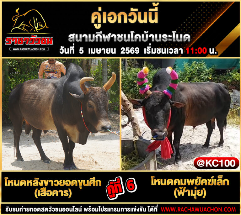 โปรแกรมวัวชนวันนี้ 5-4-2569