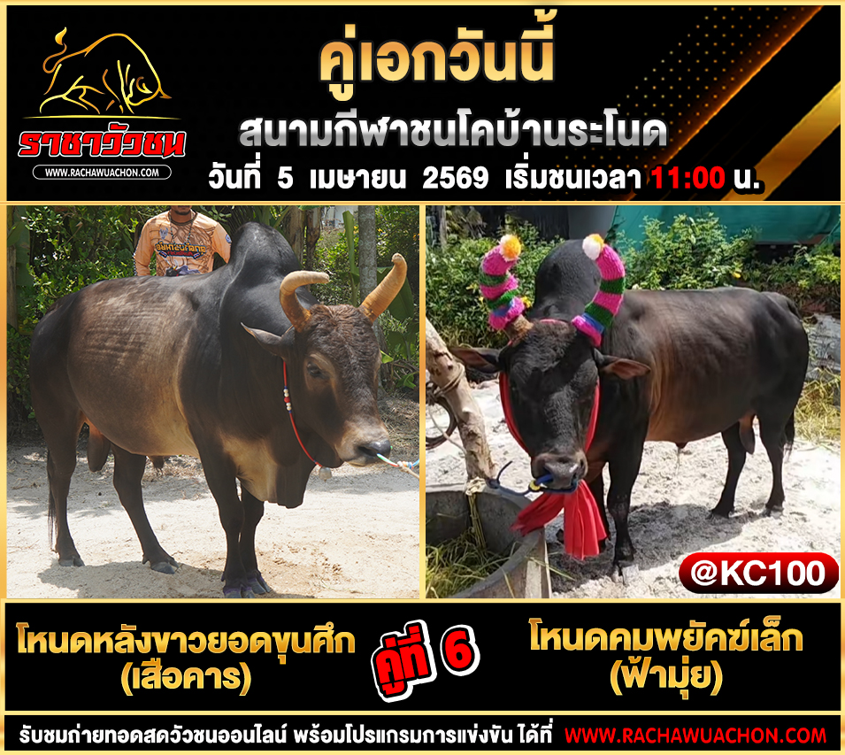 โปรแกรมวัวชนวันนี้ 5-4-2569