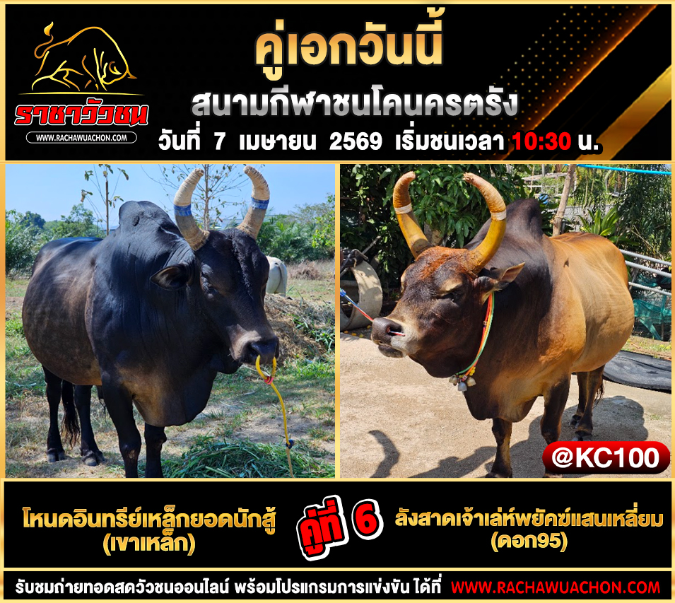 โปรแกรมวัวชนวันนี้ 7-4-2569