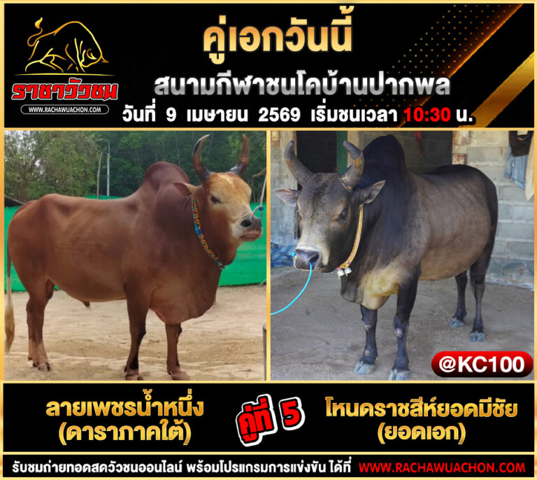 โปรแกรมวัวชนวันนี้ 9-4-2569
