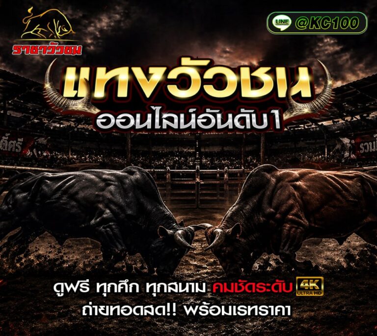 วัวชนวันนี้ 24-5-2569
