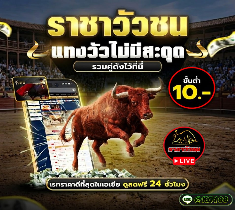 วัวชนวันนี้ 26-5-2569