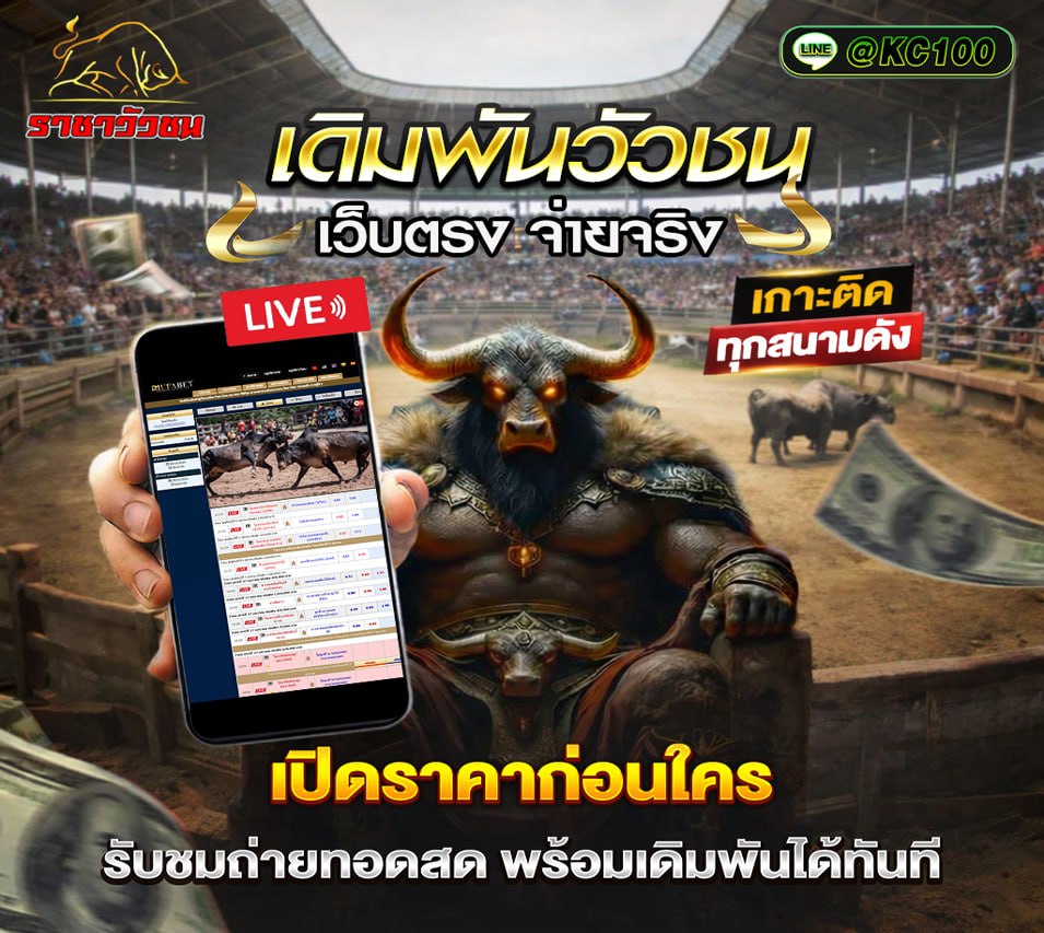 วัวชนวันนี้ 25-5-2569