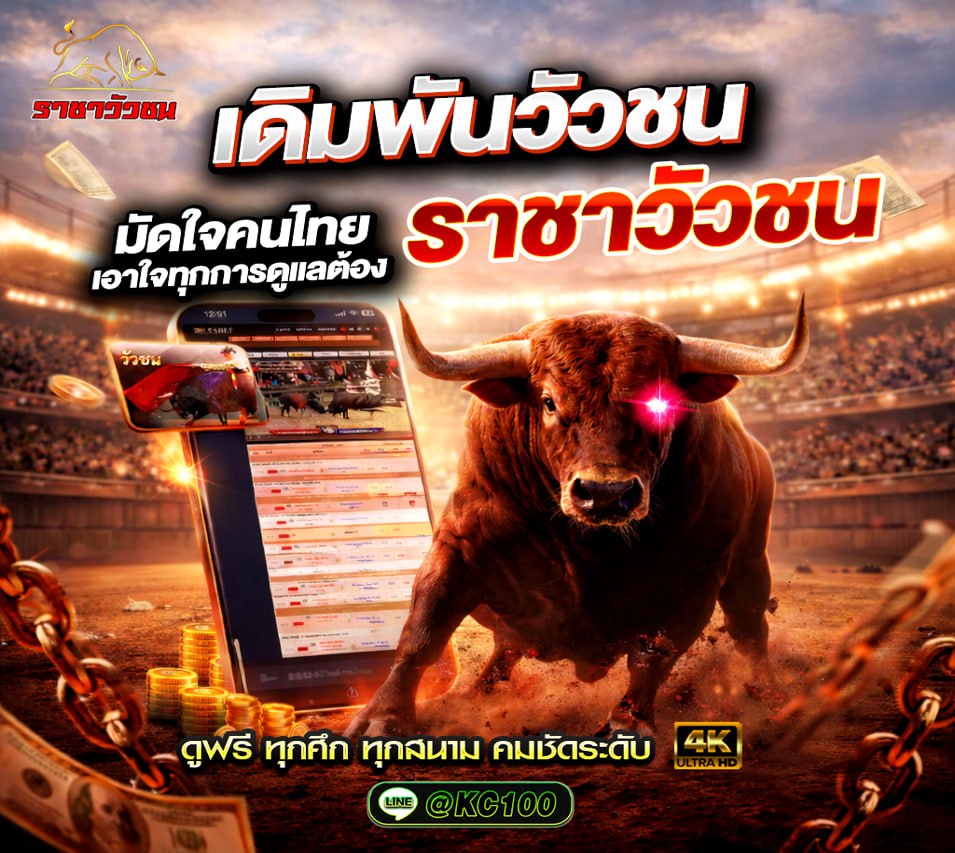 วัวชนวันนี้ 28-5-2569
