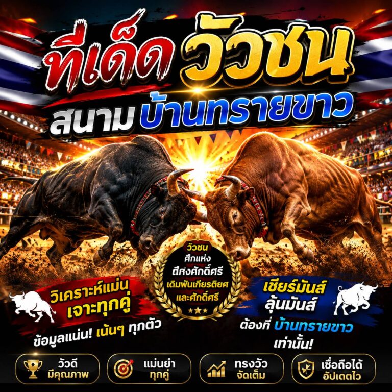 วัวชนวันนี้ 27-8-2569