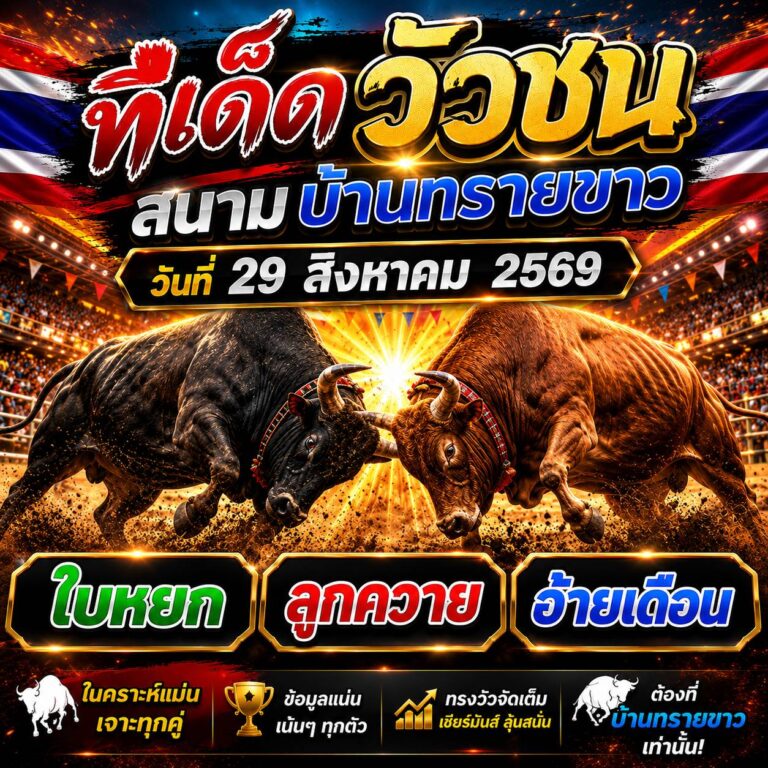 ทีเด็ดวัวชนวันนี้ 29-8-2569
