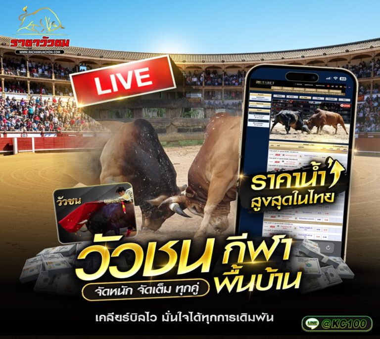 วัวชนวันนี้ 12-8-2569