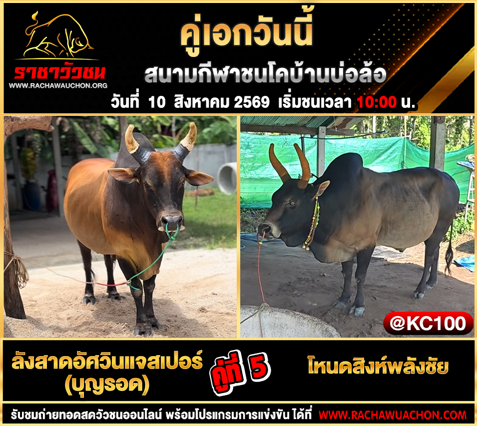 โปรแกรมวัวชนวันนี้ 10-8-2569