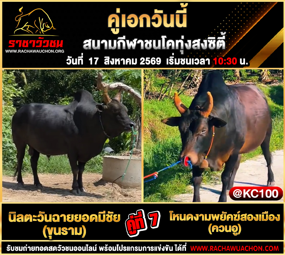 โปรแกรมวัวชนวันนี้ 17-8-2569