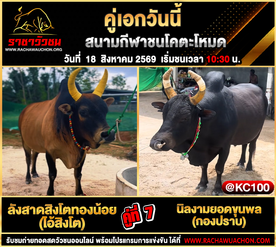 โปรแกรมวัวชนวันนี้ 18-8-2569