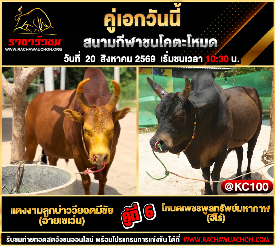 โปรแกรมวัวชนวันนี้ 20-8-2569