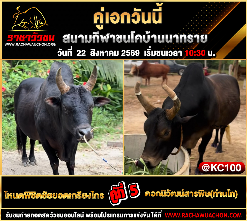 โปรแกรมวัวชนวันนี้ 22-8-2569