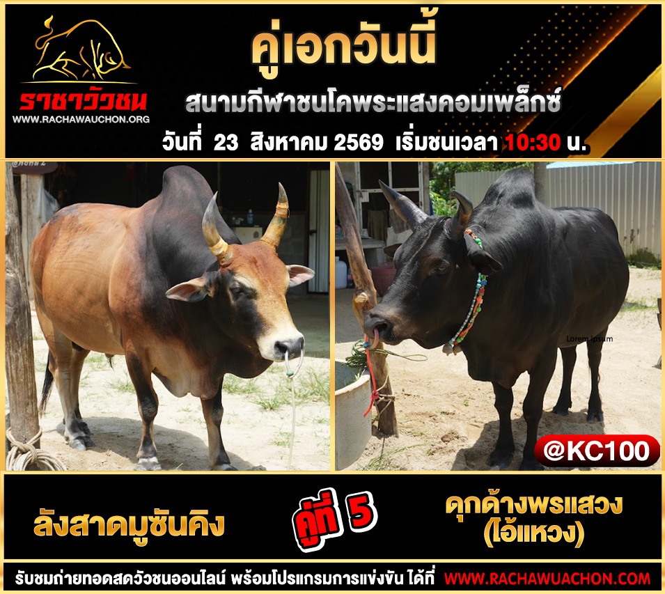 โปรแกรมวัวชนวันนี้ 23-8-2569