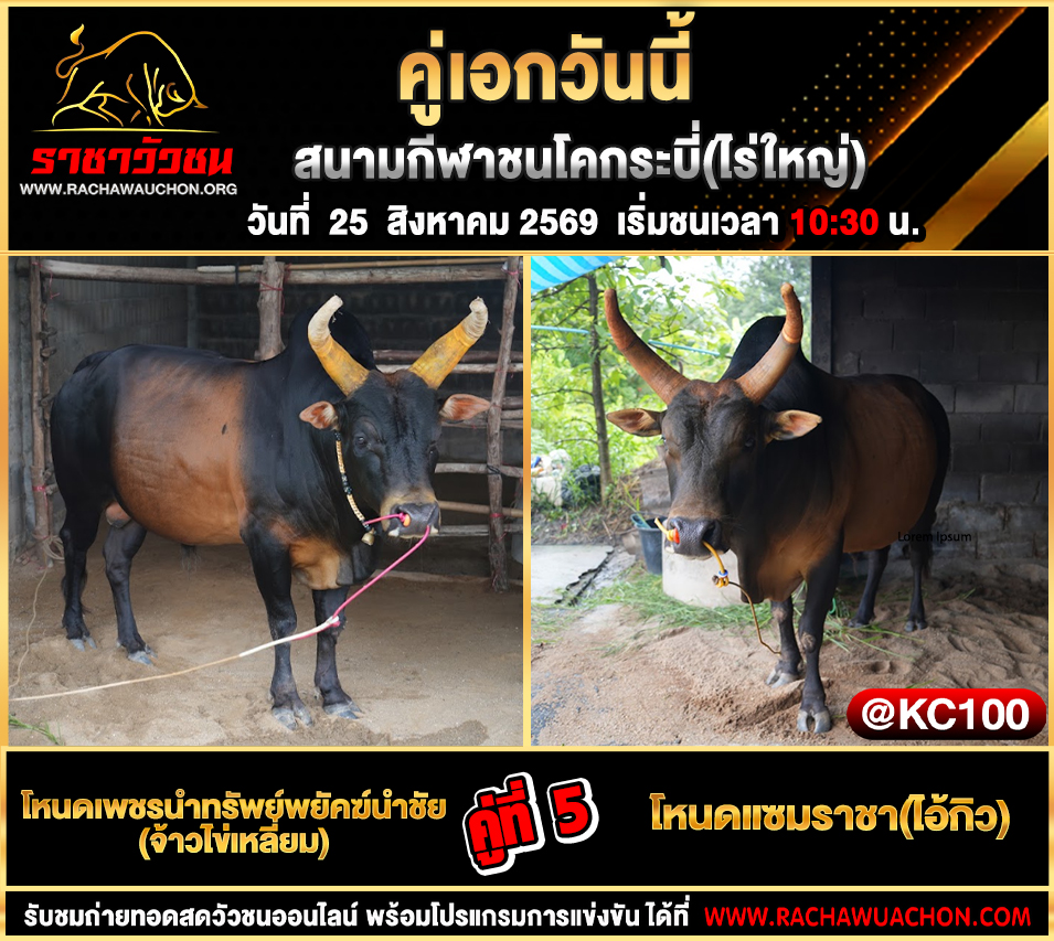 โปรแกรมวัวชนวันนี้ 25-8-2569