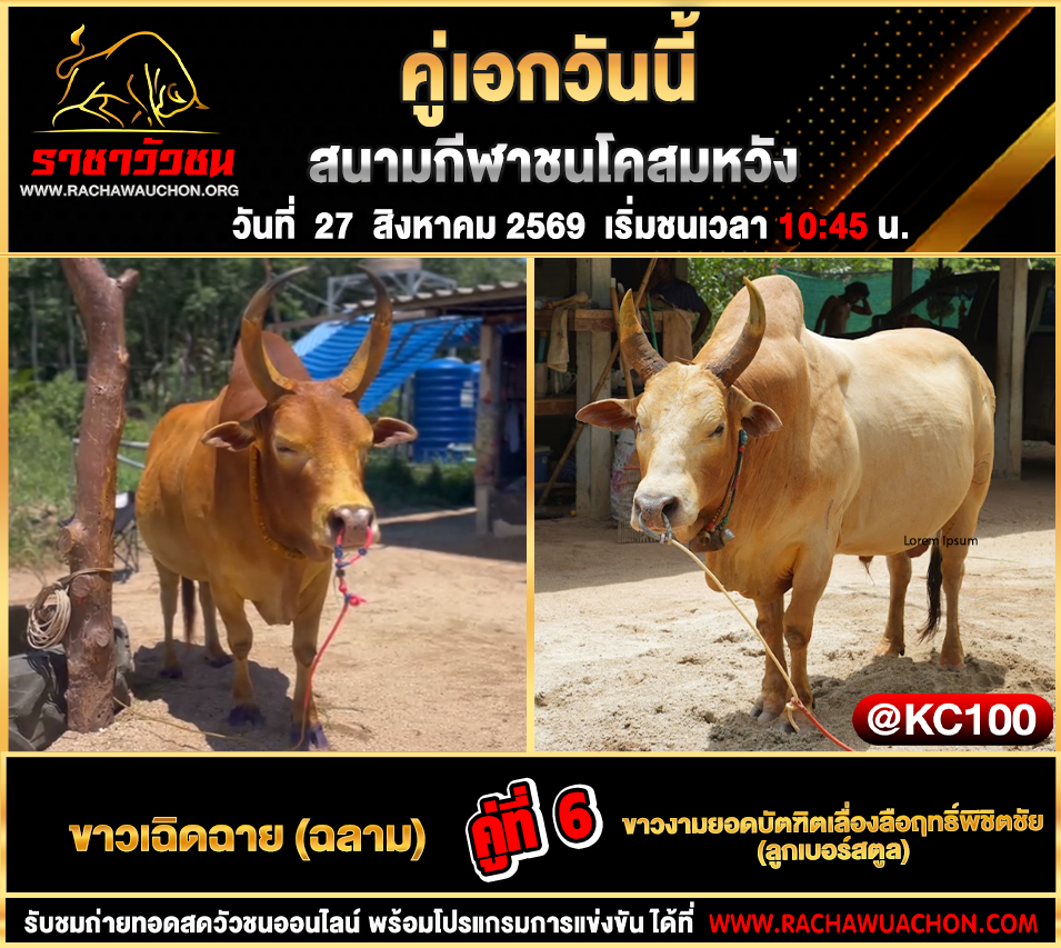 โปรแกรมวัวชนวันนี้ 27-8-2569