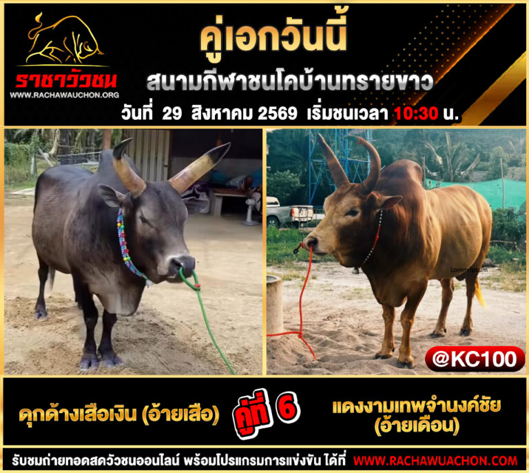 โปรแกรมวัวชนวันนี้ 29-8-2569