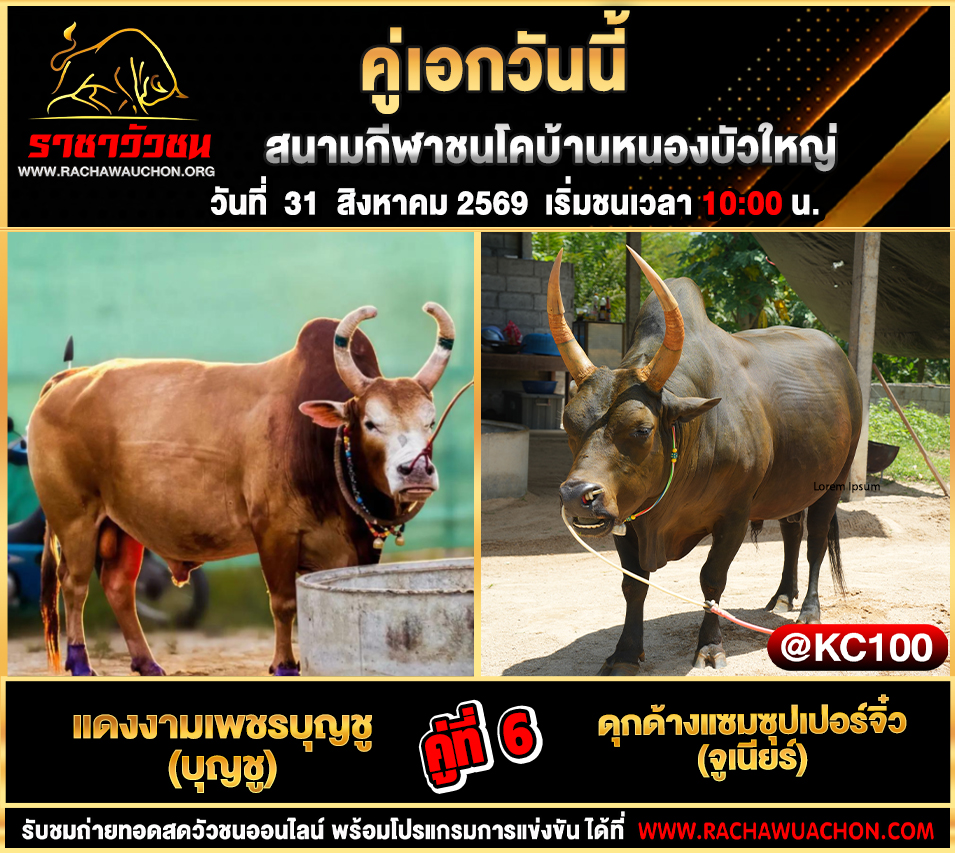 โปรแกรมวัวชนวันนี้ 31-8-2569