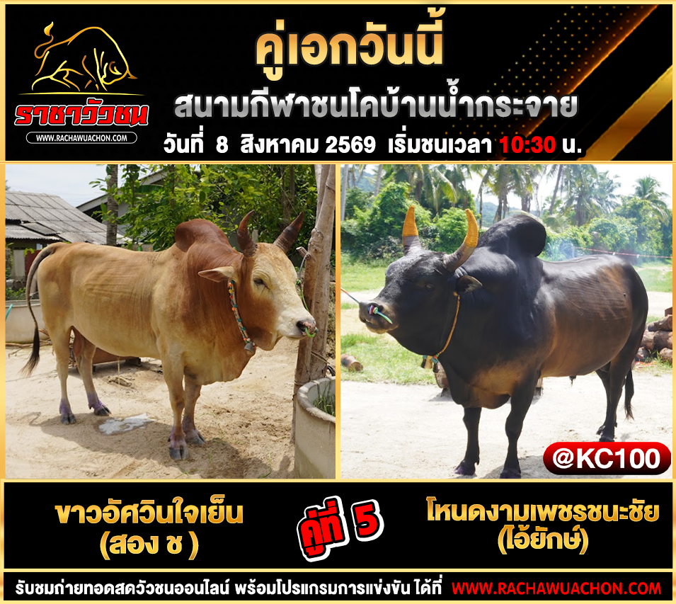 โปรแกรมวัวชนวันนี้ 8-8-2569