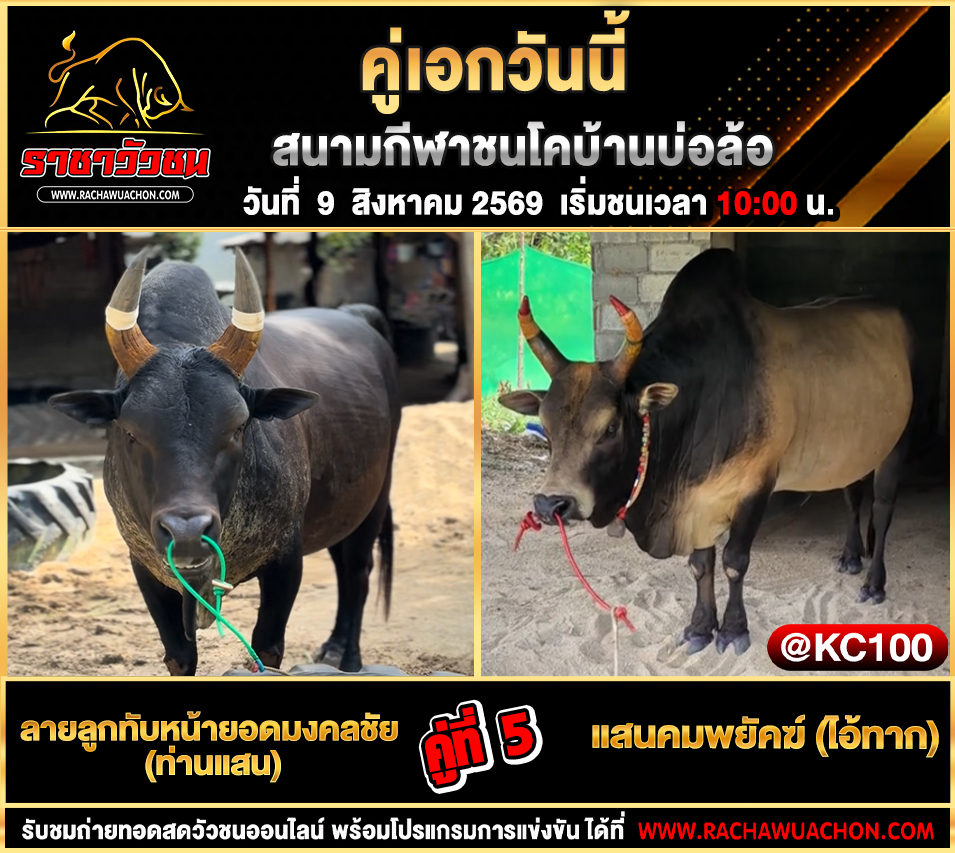 โปรแกรมวัวชนวันนี้ 9-8-2569