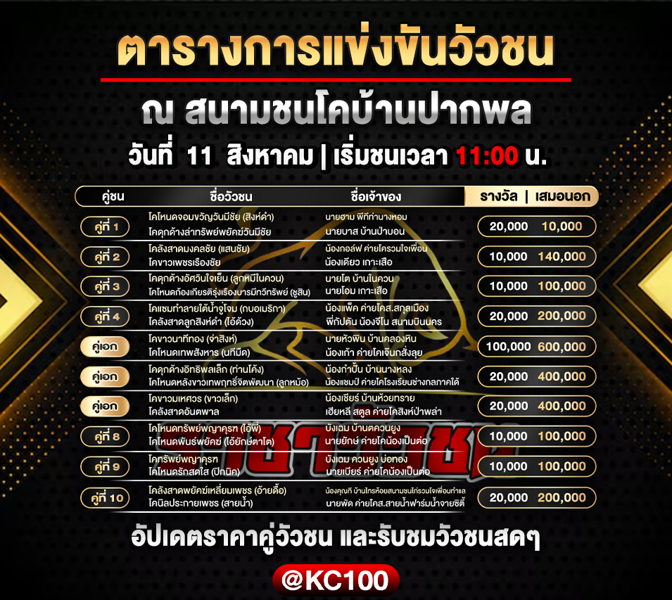 โปรแกรมวัวชนวันนี้ 11-8-2569