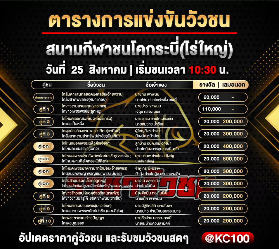 โปรแกรมวัวชนวันนี้ 25-8-2569